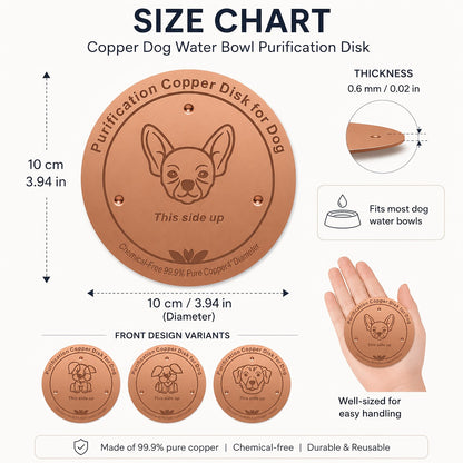 Disque de purification pour gamelle de chien en cuivre pur 10 cm - Insert de bol en cuivre réutilisable pour la purification de l'eau des chiens et animaux de compagnie - Accessoire naturel de nettoyage de l'eau sans pile pour gamelles de chien