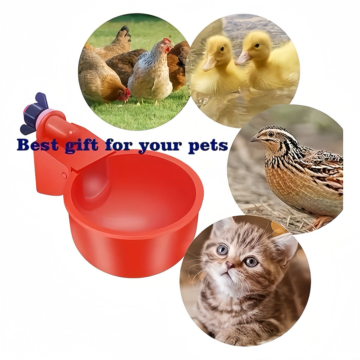 Lot de 16 abreuvoirs automatiques pour volailles – Bols auto-remplissants pour poules, canards et oiseaux avec foret et support – Valve à flotteur intégrée avec arrêt automatique – PP durable, sans pile requise