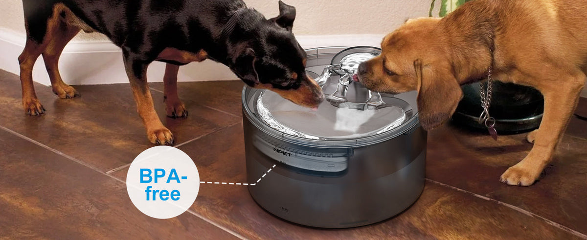 Fontaine à eau pour grands chiens 5L & 8L avec triple système de filtration, abreuvoir automatique pour animaux avec protection anti-éclaboussures et kit de nettoyage pour grands chiens et foyers multi-animaux – Pompe silencieuse, sans pile nécessaire