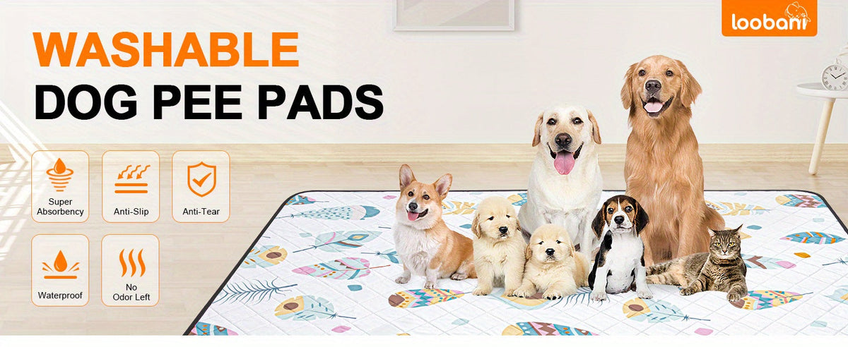 Lot de 2 alèses lavables pour chien – Tapis de dressage réutilisables, ultra-absorbants et anti-fuites avec envers antidérapant, lavables en machine pour parc, cage, apprentissage de la propreté et voyage