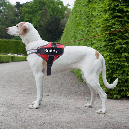 Harnais pour chien anti-traction personnalisé avec nom et numéro de téléphone – Gilet robuste anti-évasion pour le dressage et la promenade, tailles XS à XXL, 12 couleurs disponibles