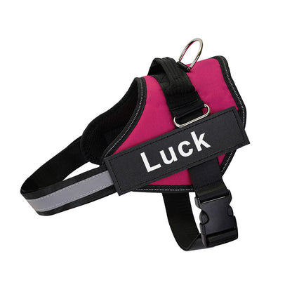 Harnais pour chien anti-traction personnalisé avec nom et numéro de téléphone – Gilet robuste anti-évasion pour le dressage et la promenade, tailles XS à XXL, 12 couleurs disponibles