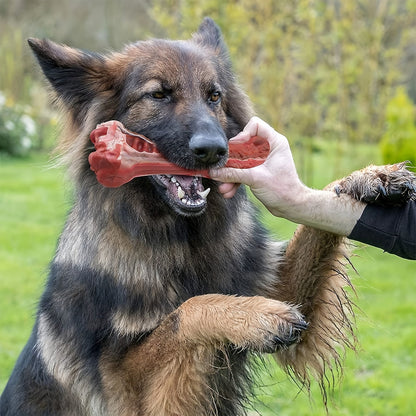 Jouet à mâcher indestructible pour chiens destructeurs, os en caoutchouc naturel durable pour le nettoyage des dents et le jeu interactif, os non toxique pour chiens de petites, moyennes et grandes races – Taille L 15 cm