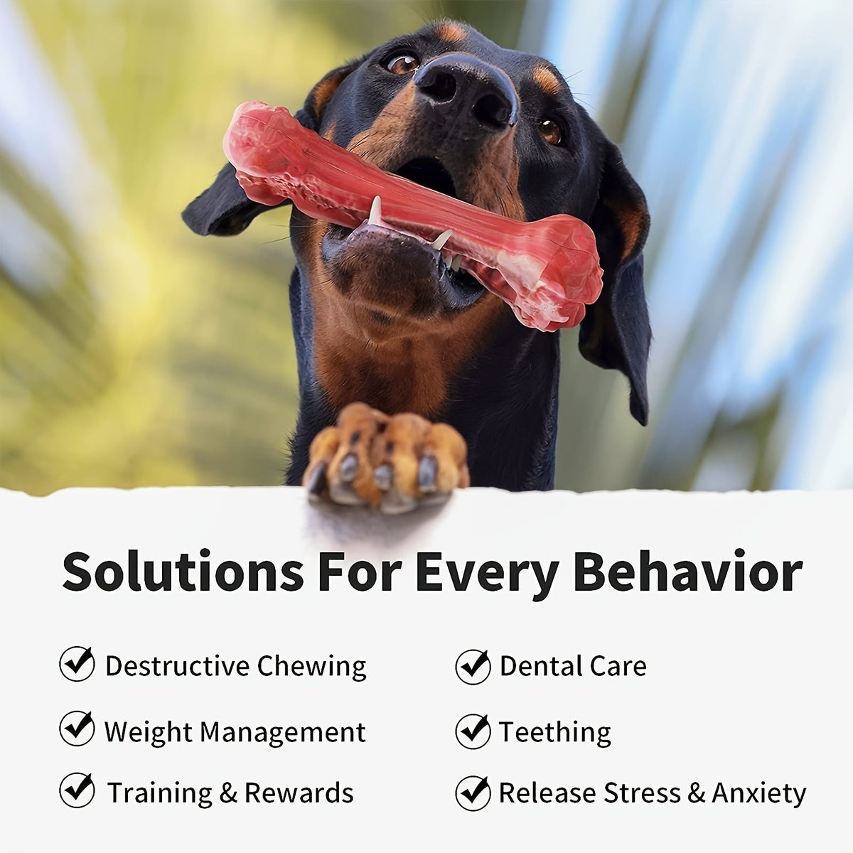 Jouet à mâcher indestructible pour chiens destructeurs, os en caoutchouc naturel durable pour le nettoyage des dents et le jeu interactif, os non toxique pour chiens de petites, moyennes et grandes races – Taille L 15 cm