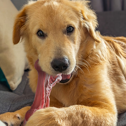 Jouet à mâcher indestructible pour chiens destructeurs, os en caoutchouc naturel durable pour le nettoyage des dents et le jeu interactif, os non toxique pour chiens de petites, moyennes et grandes races – Taille L 15 cm