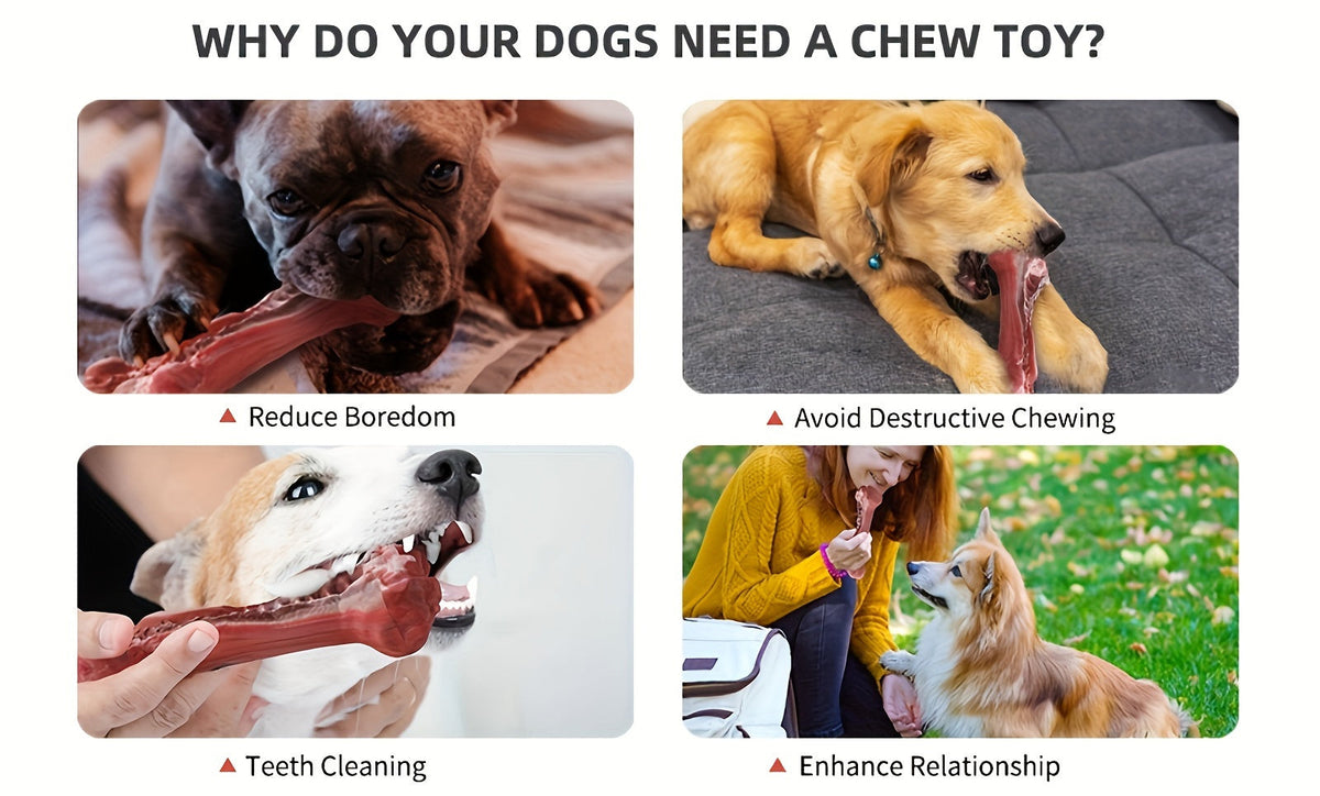 Jouet à mâcher indestructible pour chiens destructeurs, os en caoutchouc naturel durable pour le nettoyage des dents et le jeu interactif, os non toxique pour chiens de petites, moyennes et grandes races – Taille L 15 cm