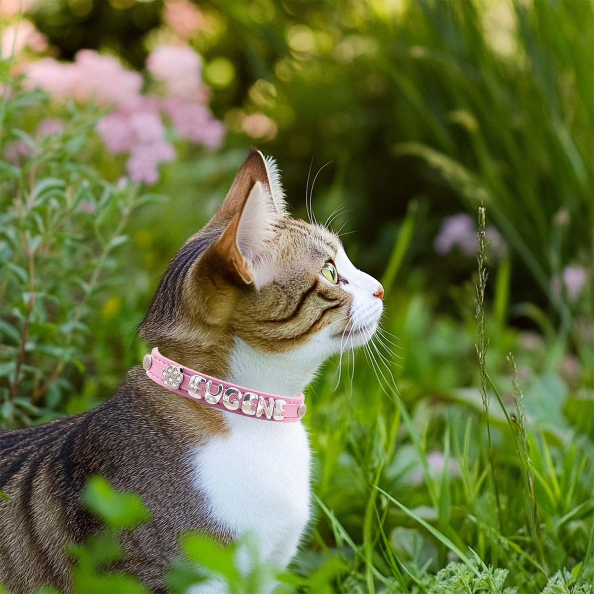 Collier pour chat et chien en similicuir personnalisé avec médaille, collier d'identification sur mesure pour petits et moyens chiens et chats, collier réglable pour animal de compagnie avec breloque exquise, 11 couleurs du XS au M