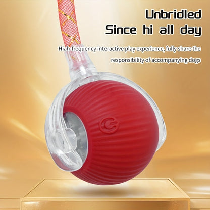 Interactive Cat Ball Toy with Elastic Net Tail, Automatic Moving Electric Ball Toy for Cats - Motion Activated, Obstacle Avoidance, Works on Floors Tiles Carpets, USB Rechargeable Smart Cat Toy