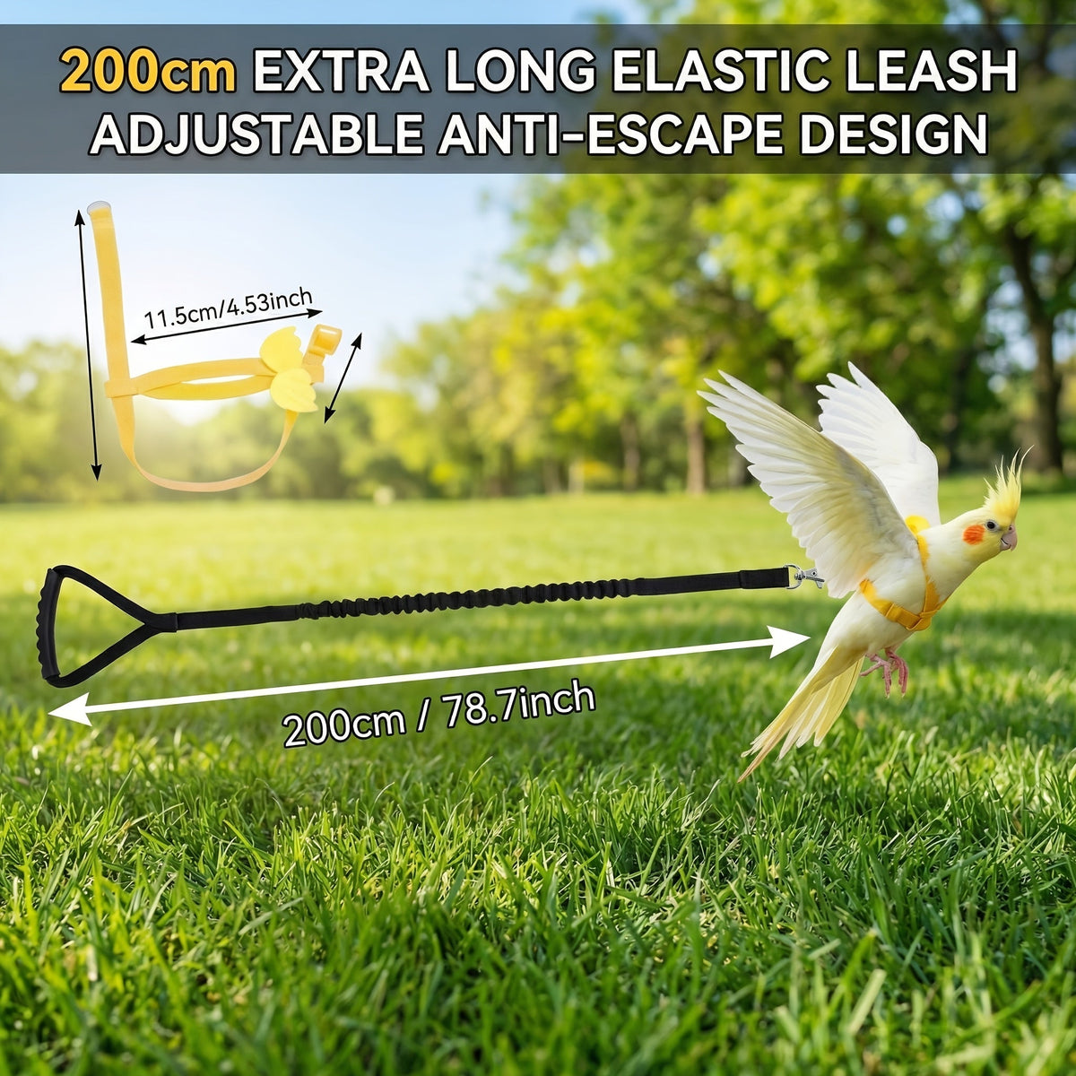 Harnais et laisse réglables pour perroquets - Laisse d'entraînement douce anti-évasion pour conures, calopsittes, inséparables, perruches et petits perroquets - 2 m de long, laisse de marche extérieure pour oiseaux, rose et bleu