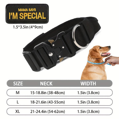 Ensemble collier tactique pour chien et laisse élastique robuste pour chiens de taille moyenne à grande - Collier en nylon avec boucle métallique haute résistance, laisse élastique extensible, équipement de dressage et de promenade en extérieur