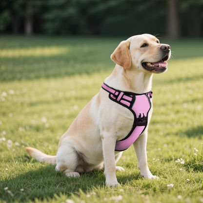 Ensemble harnais anti-traction pour chien avec laisse rétractable, ceinture de sécurité et collier – Harnais gilet entièrement réfléchissant, réglable et respirant avec poignée pour petits et grands chiens, tailles XS–XL