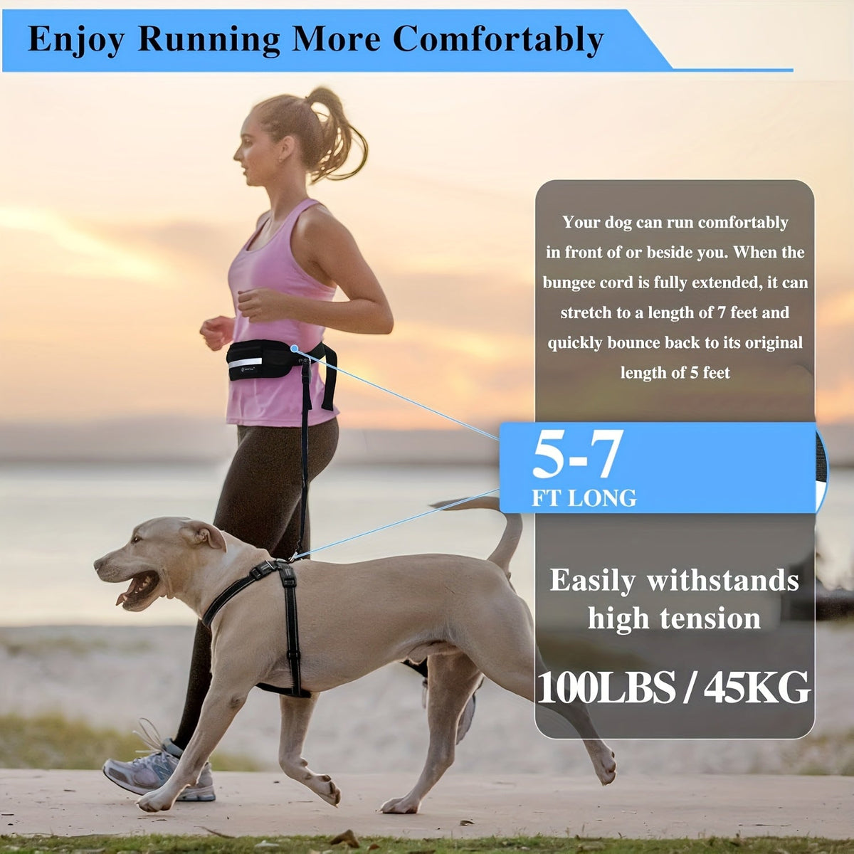 Laisse pour chien mains libres avec pochette zippée et double poignée rembourrée – Laisse élastique antichoc pour la marche, le jogging et l'entraînement à la course, laisse ventrale pour propriétaires d'animaux actifs