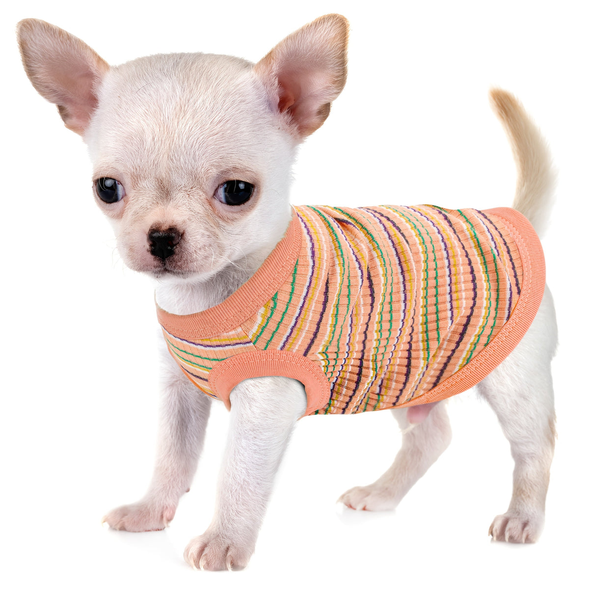 Débardeur doux à rayures côtelées pour petits chiens - T-shirt léger et respirant pour chiens de races XS à XXL, vêtement mignon disponible en 11 couleurs pour le quotidien (Chihuahua, Yorkshire, Poméranien)
