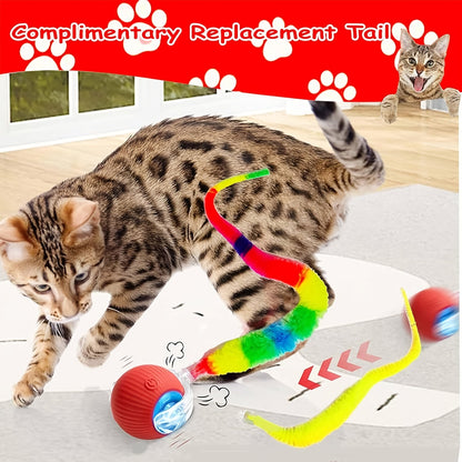 Jouet balle roulante automatique pour chat, rechargeable par USB, lumineux, intelligent et auto-divertissant, en plastique résistant aux morsures avec queue en forme de chenille pour chats et chatons d'intérieur, version améliorée de deuxième génération