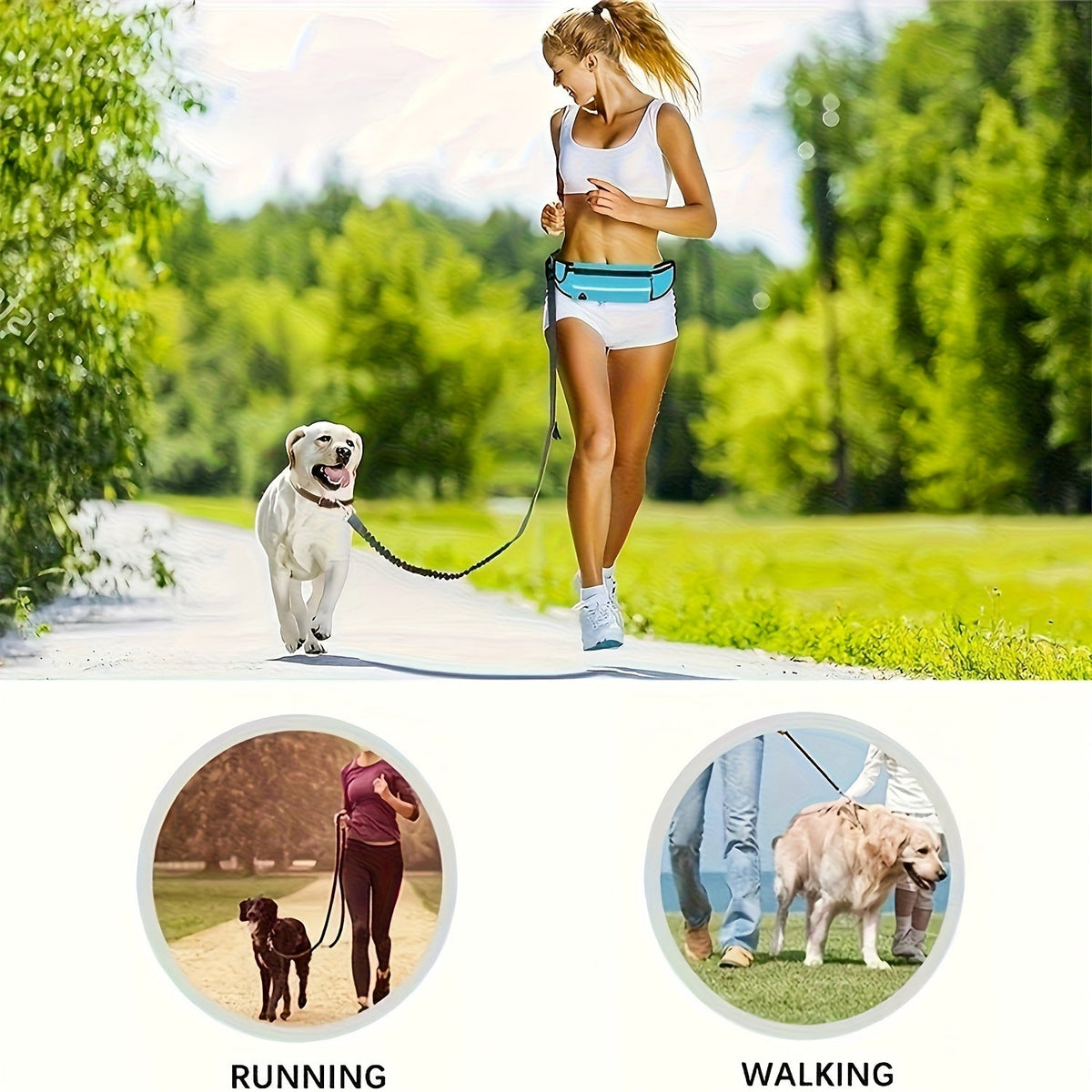 Laisse pour chien mains libres avec pochette zippée et double poignée rembourrée – Laisse élastique antichoc pour la marche, le jogging et l'entraînement à la course, laisse ventrale pour propriétaires d'animaux actifs