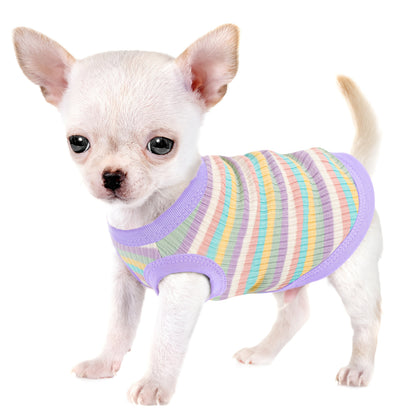Débardeur doux à rayures côtelées pour petits chiens - T-shirt léger et respirant pour chiens de races XS à XXL, vêtement mignon disponible en 11 couleurs pour le quotidien (Chihuahua, Yorkshire, Poméranien)