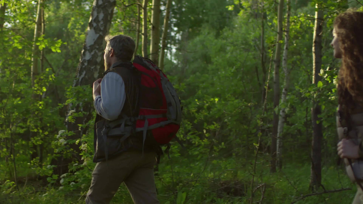 Chaufferettes pour mains et corps activées à l'air, jusqu'à 10 heures de chaleur, ultra fines, inodores, sûres, pour mains, corps et orteils – Lots en vrac de 10 à 280 unités pour le camping, la randonnée et les activités hivernales en plein air