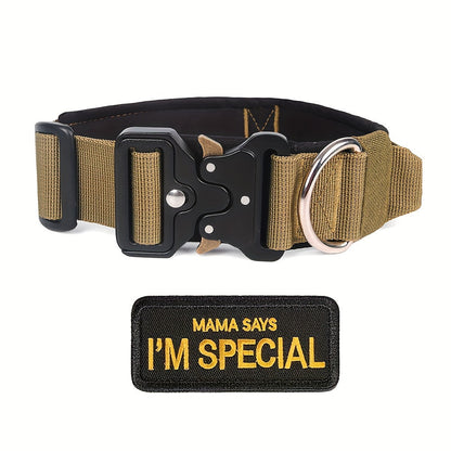 Ensemble collier tactique pour chien et laisse élastique robuste pour chiens de taille moyenne à grande - Collier en nylon avec boucle métallique haute résistance, laisse élastique extensible, équipement de dressage et de promenade en extérieur
