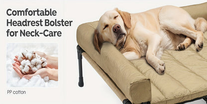 Lit surélevé rafraîchissant pour chien avec matelas amovible – Canapé pour chien surélevé avec rebords, filet respirant et pieds antidérapants pour une utilisation en intérieur et en extérieur