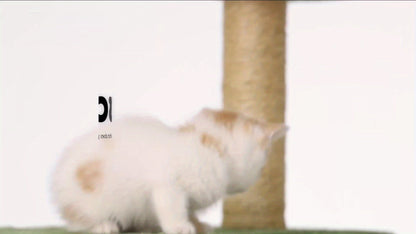 Arbre à chat de 140 cm pour chats d'intérieur avec feuilles vertes – Grande tour à chat multi-niveaux avec hamac, poteaux à griffer en sisal, jouet à suspendre, mobilier pour chat pour salon et chambre