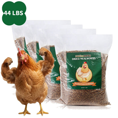 Vers de farine séchés pour poules, oiseaux sauvages et canards – Aliment naturel riche en protéines pour poules, tortues, poissons, lézards et hamsters, nourriture animale séchée sans OGM, plusieurs formats de 0,6 à 40 livres
