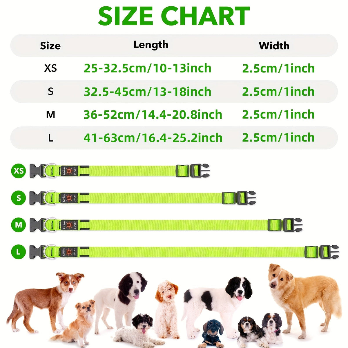 Collier lumineux pour chien à LED, rechargeable par USB - Collier de sécurité ajustable en nylon avec boucle en D pour petits, moyens et grands chiens, haute visibilité pour les promenades nocturnes