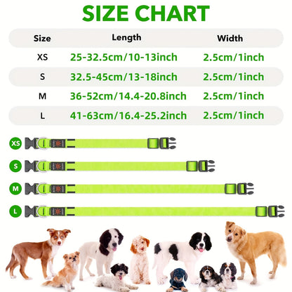 Collier lumineux pour chien à LED, rechargeable par USB - Collier de sécurité ajustable en nylon avec boucle en D pour petits, moyens et grands chiens, haute visibilité pour les promenades nocturnes