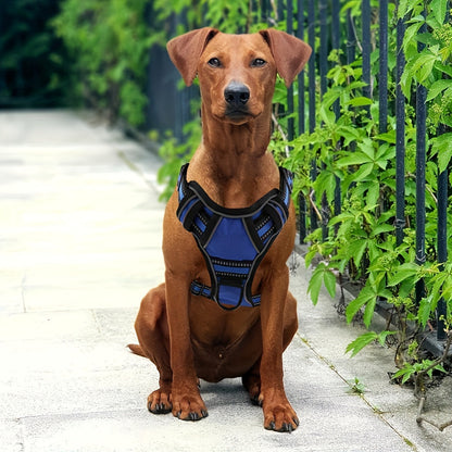 Ensemble harnais anti-traction et laisse 6-en-1 pour chien – Gilet réfléchissant en tissu Oxford sans étranglement avec double attache de laisse et poignée de contrôle facile pour chiens petits, moyens et grands, 5 couleurs, du XS au XL