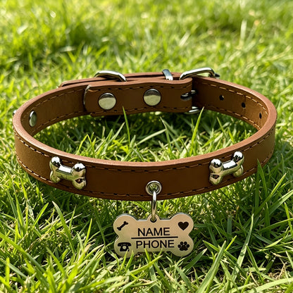 Collier pour chien gravé sur mesure avec plaque d'identification personnalisée gratuite, collier réglable anti-perte pour petits et moyens chiens et chats, matériau durable de qualité supérieure