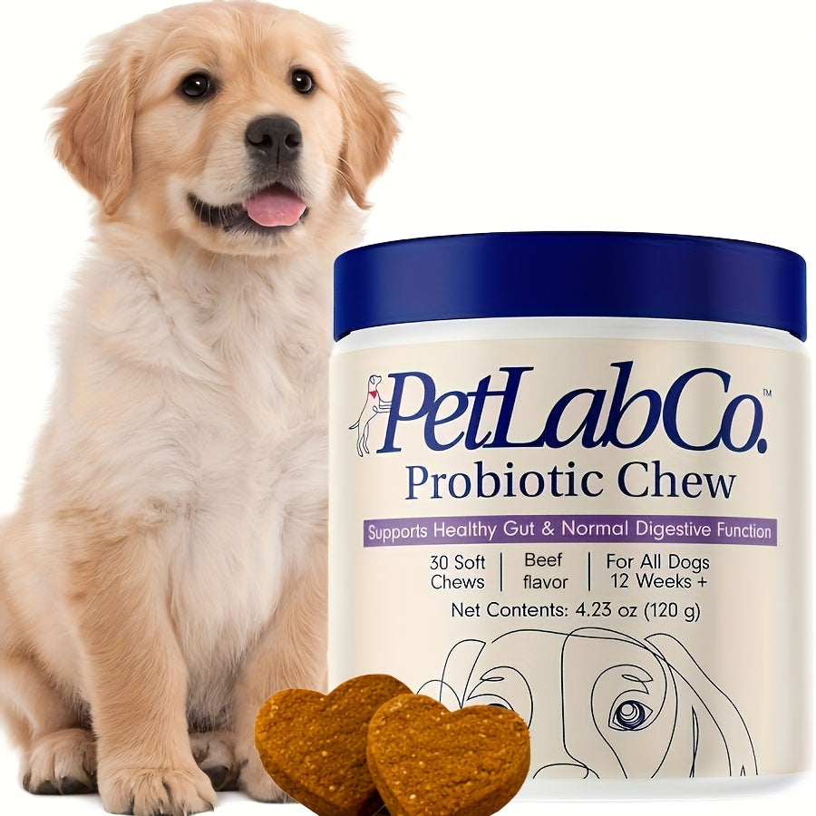 Friandises probiotiques et prébiotiques à mâcher pour chien, ingrédients naturels, soutient la santé intestinale, la digestion et la qualité de vie - 1 paquet ou 3 paquets, meilleur rapport qualité-prix