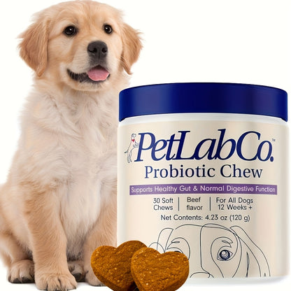 Friandises probiotiques et prébiotiques à mâcher pour chien, ingrédients naturels, soutient la santé intestinale, la digestion et la qualité de vie - 1 paquet ou 3 paquets, meilleur rapport qualité-prix