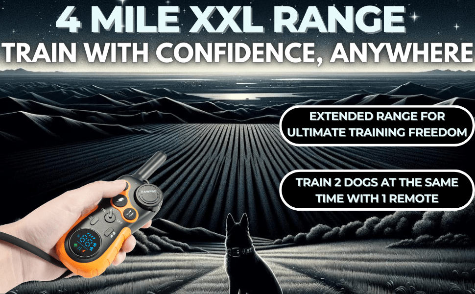 Collier de dressage pour chien avec télécommande, portée de 6 km – 124 niveaux réglables, 4 modes (bip, vibration, choc, veilleuse), collier électronique rechargeable pour chiens de 2 à 61 kg, avec guide de dressage