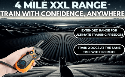 Collier de dressage pour chien avec télécommande, portée de 6 km – 124 niveaux réglables, 4 modes (bip, vibration, choc, veilleuse), collier électronique rechargeable pour chiens de 2 à 61 kg, avec guide de dressage