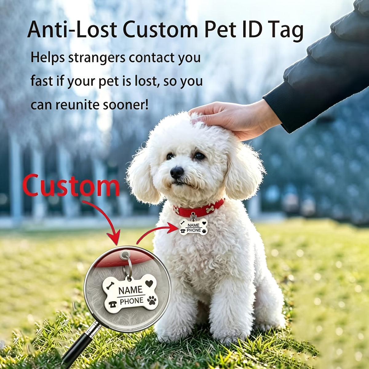 Collier pour chien gravé sur mesure avec plaque d'identification personnalisée gratuite, collier réglable anti-perte pour petits et moyens chiens et chats, matériau durable de qualité supérieure