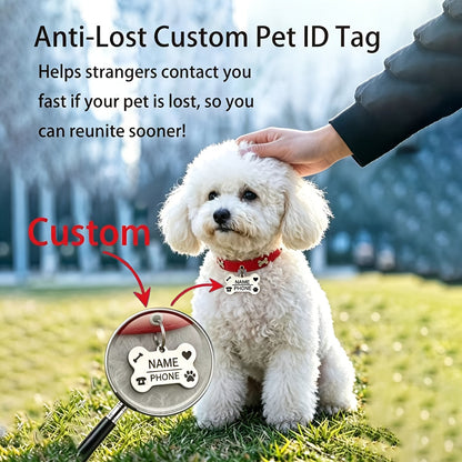 Collier pour chien gravé sur mesure avec plaque d'identification personnalisée gratuite, collier réglable anti-perte pour petits et moyens chiens et chats, matériau durable de qualité supérieure