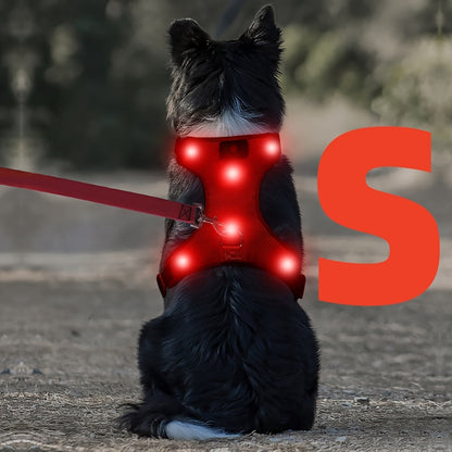 LED Light Up Dog Harness No Pull - Rechargeable Washable Glowing Dog Vest Harness with Detachable Battery for Safe Night Walking and Camping, 4 Colors & Sizes S M L for Small Medium Large Dogs