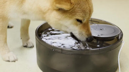 Fontaine à eau automatique pour chien, distributeur d'eau pour animaux de compagnie grande capacité de 4,9 litres avec protection anti-éclaboussures, kit de nettoyage et USB basse tension pour chiens, chats et foyers multi-animaux
