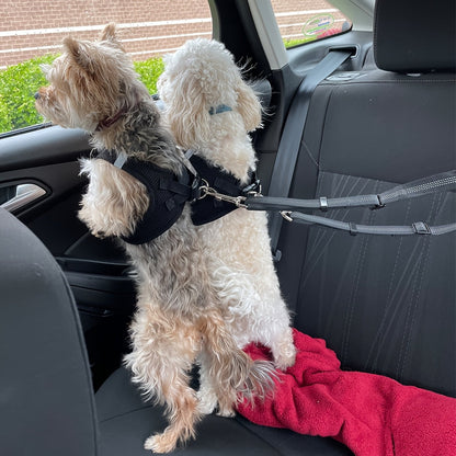 Double ceinture de sécurité pour 2 chiens, attache appuie-tête anti-enchevêtrement, laisse élastique réglable pour la sécurité des chiens de petite, moyenne et grande taille en voiture