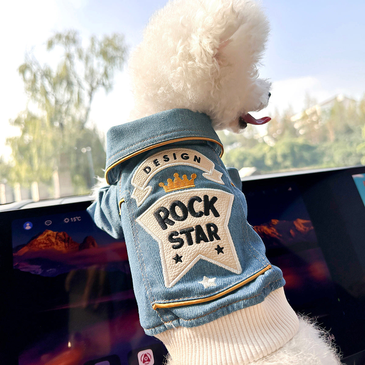 Veste en jean style rock pour petit chien – Vêtement décontracté imitation jean pour petits chiens, veste streetwear confortable de la taille XS à XL, tenue tendance bleue pour le quotidien et les sorties.