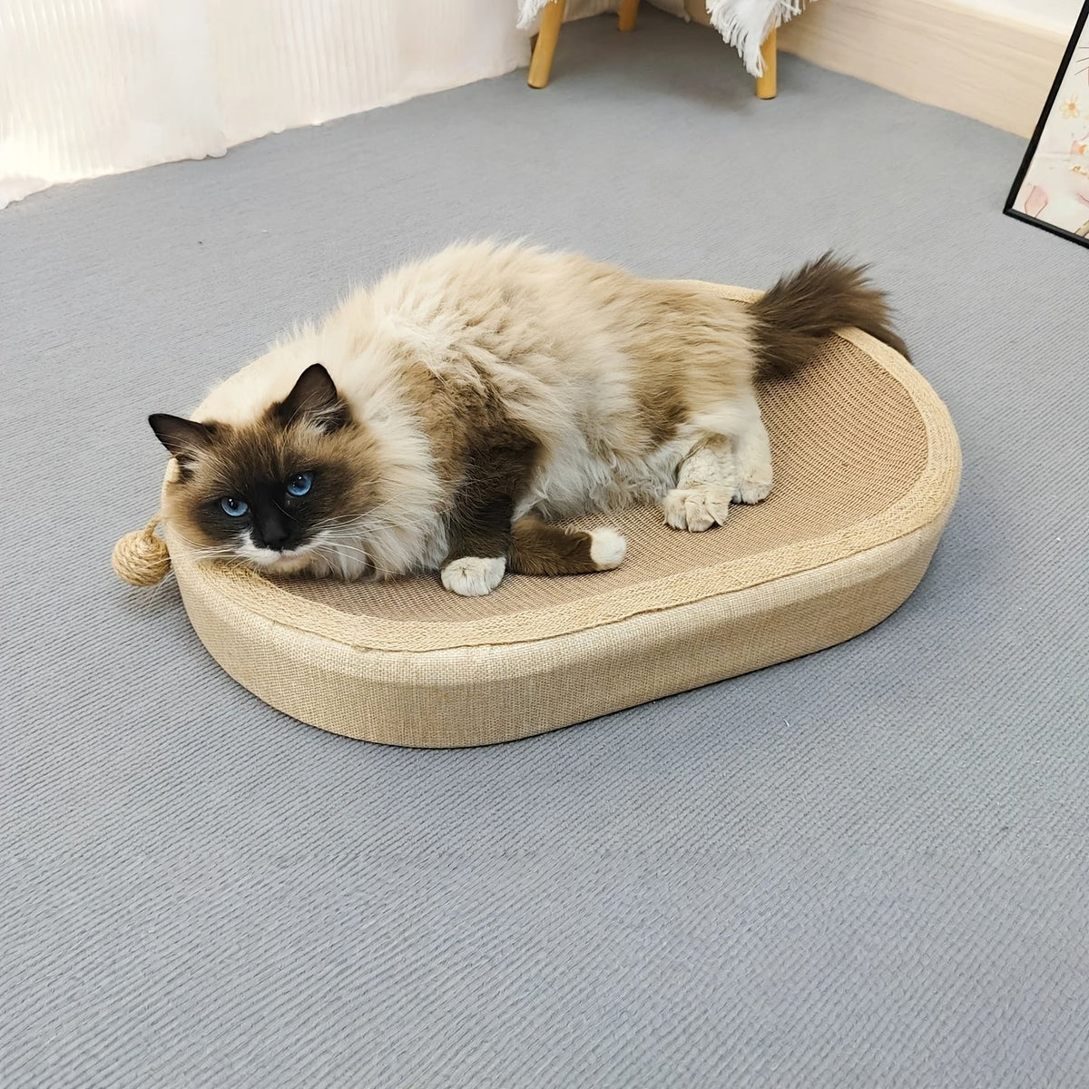 Grand griffoir et lit ovale en sisal pour chat – Tapis à gratter durable de 60 cm avec balle en sisal, aucun assemblage requis, griffoir toutes saisons pour que les chats d'intérieur puissent jouer, dormir et se reposer