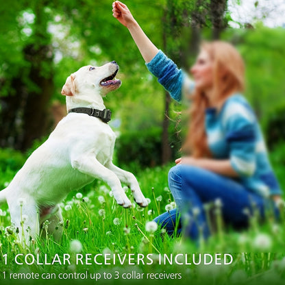 Collier de dressage pour chien avec télécommande – Modes vibration et son, sangle en nylon réglable pour chiens de petite à grande taille, 1 télécommande pour contrôler 1, 2 ou 3 chiens