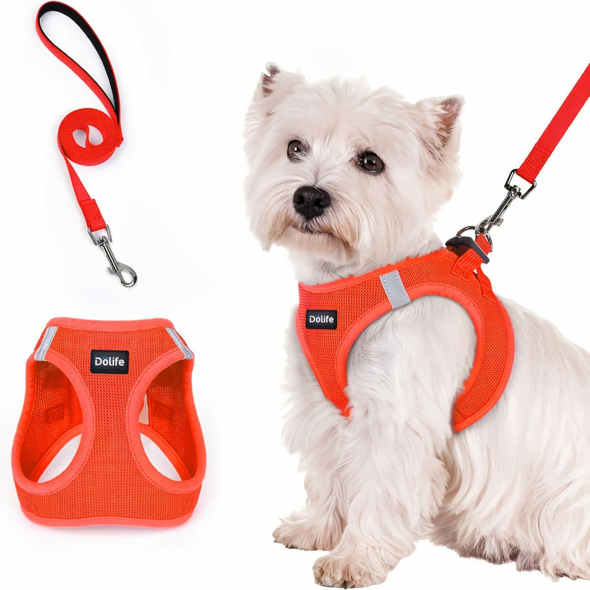 Harnais et laisse pour petits chiens et chiots - Harnais gilet respirant, réfléchissant, doux et léger anti-traction avec laisse assortie XS S M L XL