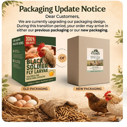 Larves de mouches soldats noires séchées pour poules – 43 % de protéines et 85 fois plus de calcium que les vers de farine, friandises naturelles sans OGM pour poules pondeuses, canards, cailles, oiseaux et reptiles, 2 lb / 5 lb / 10 lb