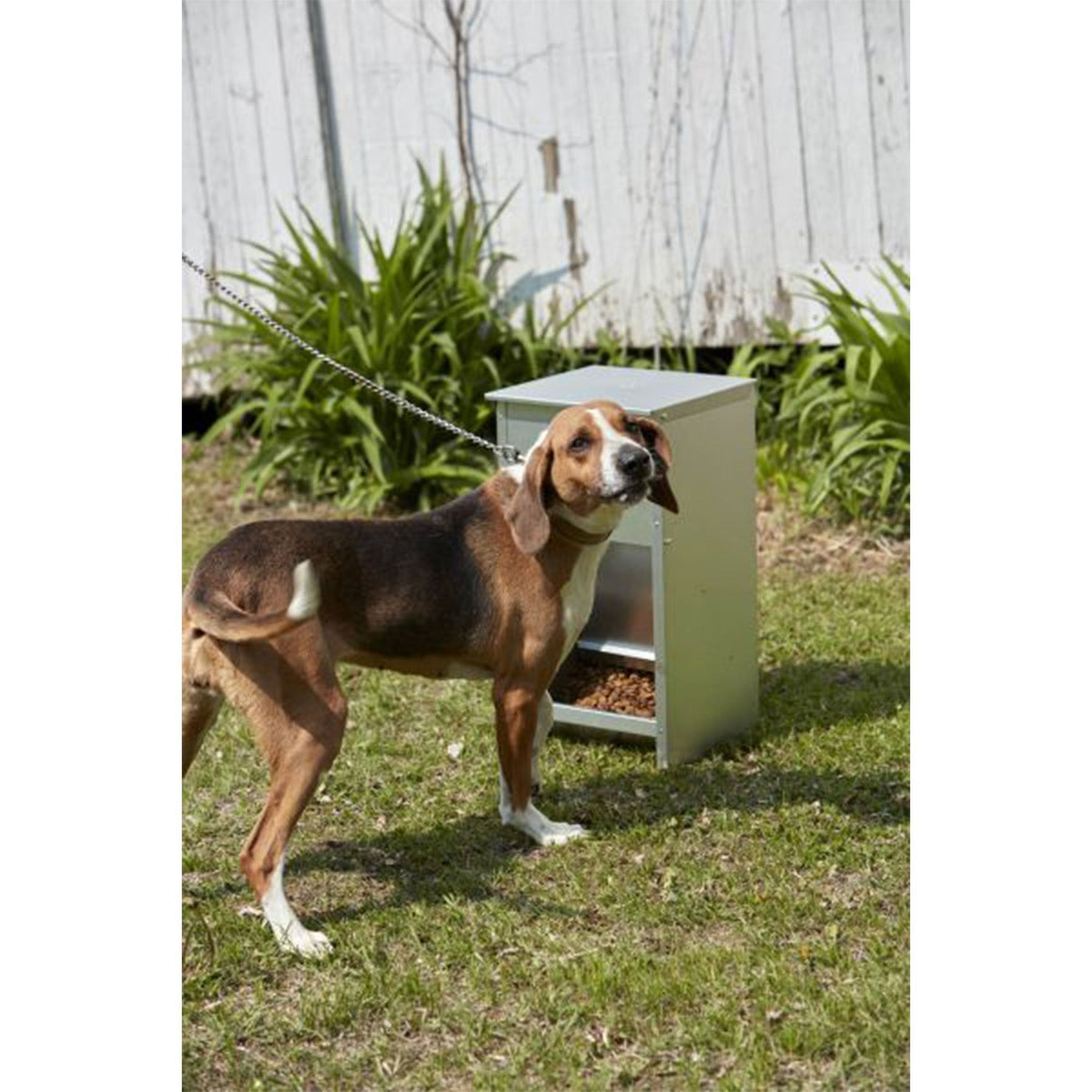 Distributeur automatique pour chien Pet Lodge 25 lb - Distributeur par gravité en acier galvanisé avec porte aimantée et goulotte inclinée, résistant à la mastication et à la rouille, montage mural pour intérieur et extérieur, argent