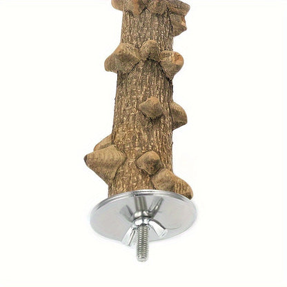 Perchoir pour oiseaux en bois naturel, lot de 5, bois de vigne et frêne épineux pour mâcher et limer les griffes, pour calopsittes, perruches, conures soleil – Ensemble de supports pour cage à oiseaux