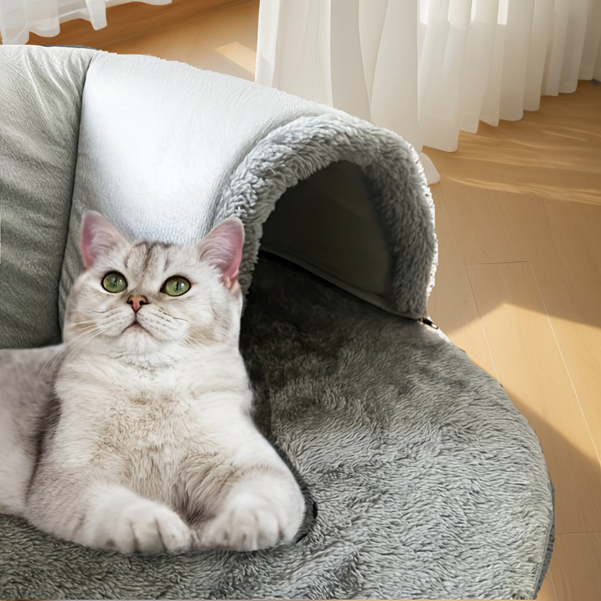 Tunnel-lit pour chat avec mousse à mémoire de forme, balle suspendue et bavoir offert – Condo lounge en peluche détachable, nid pour animaux lavable en machine pour foyers multi-chats, chats de petite à moyenne taille – Velora