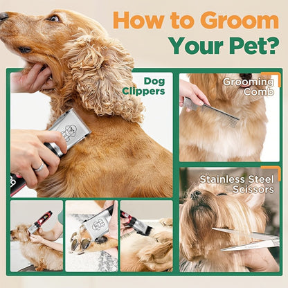 Kit de toilettage pour chien, tondeuse électrique sans fil silencieuse – batterie au lithium rechargeable, tondeuse pour poils épais avec ciseaux et peigne pour chiens et chats de petite et grande taille, plusieurs options de kit disponibles