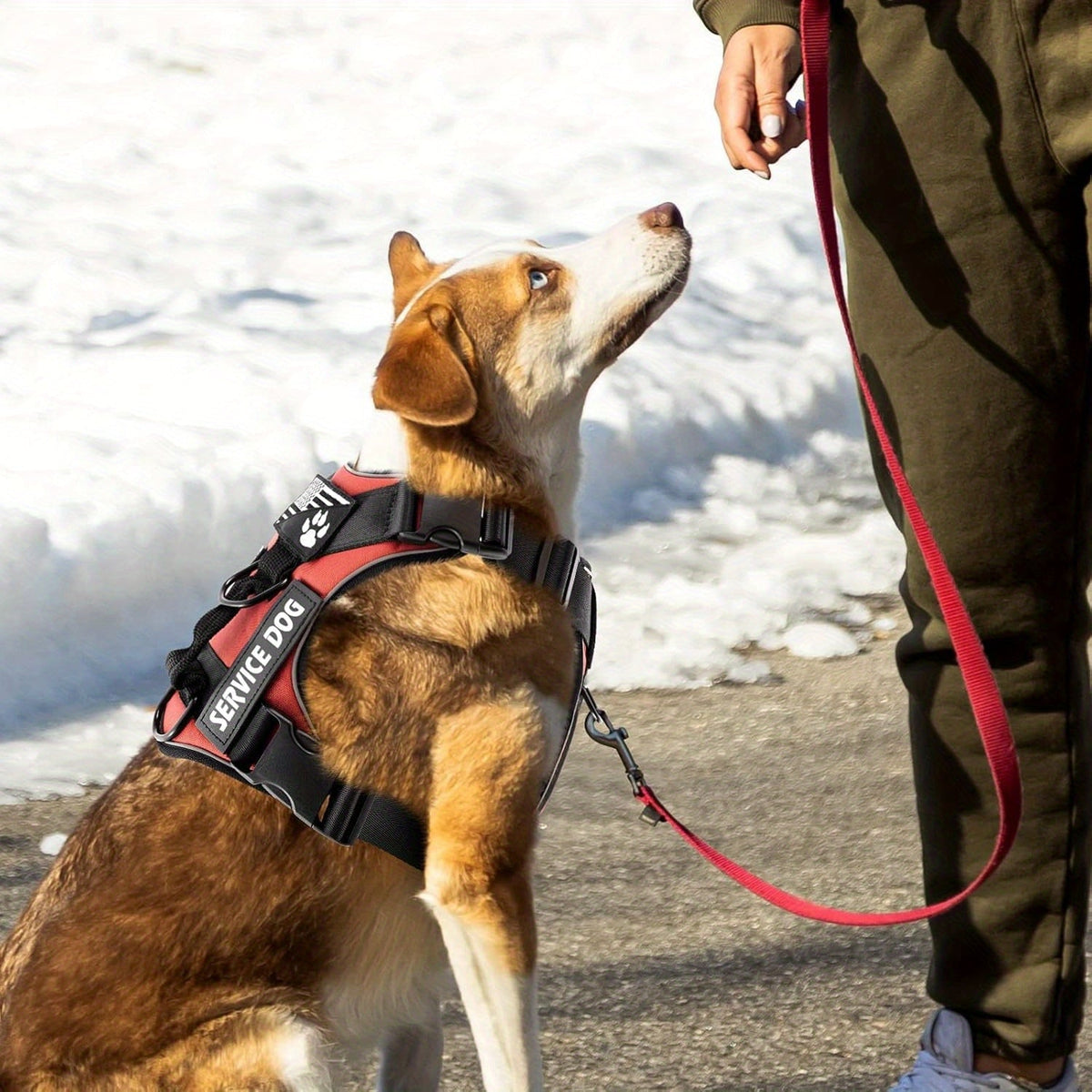 Harnais anti-traction pour chien avec gilet réfléchissant et 5 écussons – Harnais de service réglable en maille Oxford souple, avec attaches avant et arrière pour chiens de petite, moyenne et grande taille, de XS à XL