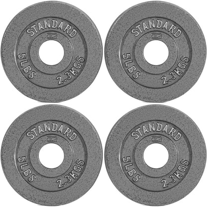 Disques de musculation en fonte, alésage 2 pouces, finition émaillée, pour musculation, haltérophilie, powerlifting, home gym, barre olympique, 2,5, 5, 10, 25, 35, 45, 100 lb