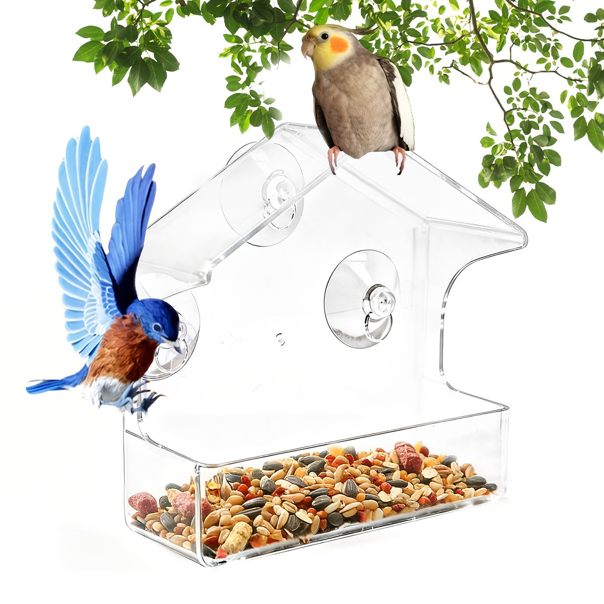 Mangeoire à oiseaux transparente en acrylique avec ventouses - Nichoir transparent pour jardin extérieur, facile à nettoyer, mangeoire pour observer les oiseaux de près depuis vos fenêtres